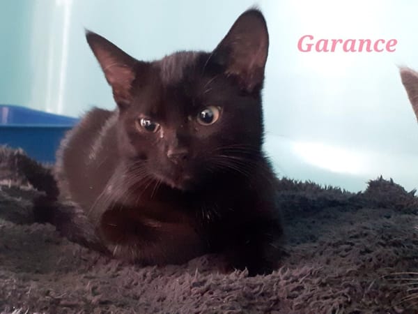 Garance