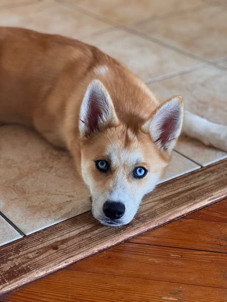 AZUL