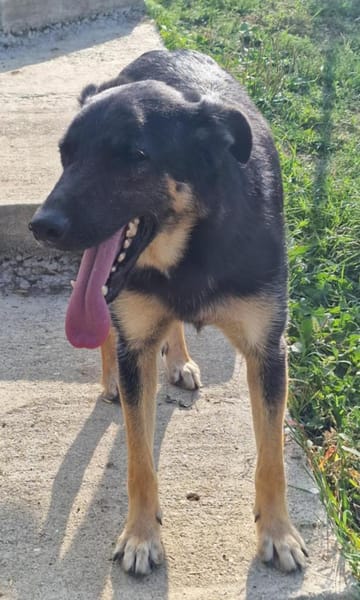 Otto, warum sieht mich denn keiner?
