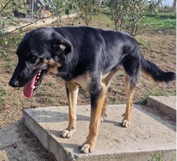Otto, warum sieht mich denn keiner?