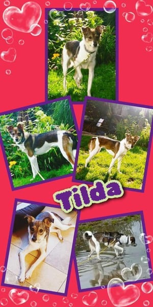 Hübsche Tilda wartet in Hausen!