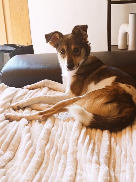 Hübsche Tilda wartet in Hausen!