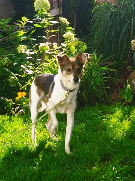 Hübsche Tilda wartet in Hausen!