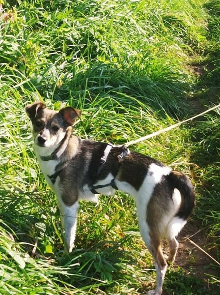 Hübsche Tilda wartet in Hausen!