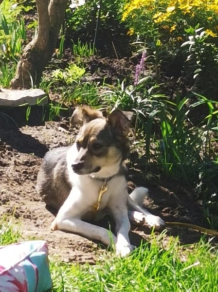 Hübsche Tilda wartet in Hausen!