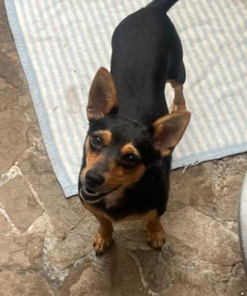 Emmi sucht ihre Familie
