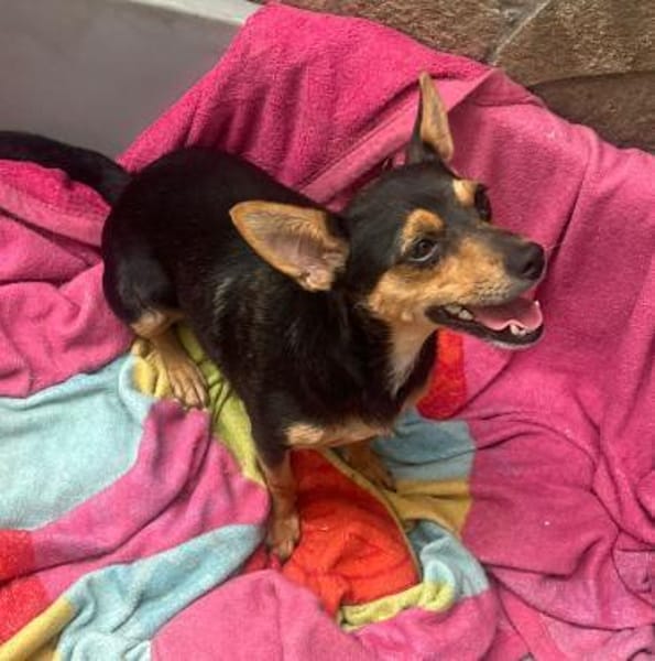 Emmi sucht ihre Familie