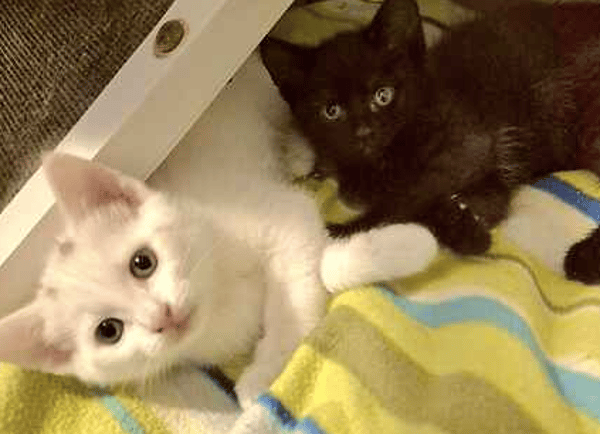 Spotty & Sooty