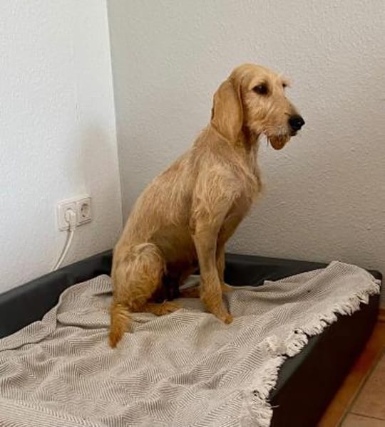 MELA 🧡🧡🧡 hat einen tollen Charakter