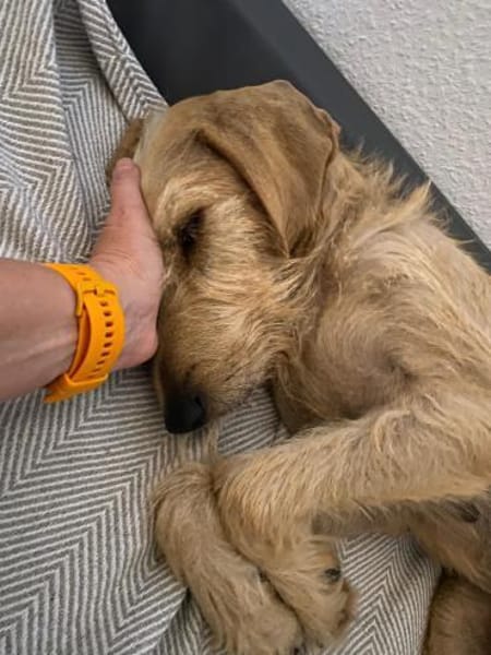 MELA 🧡🧡🧡 hat einen tollen Charakter