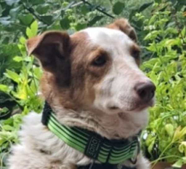 HELEN, lieb und sanft