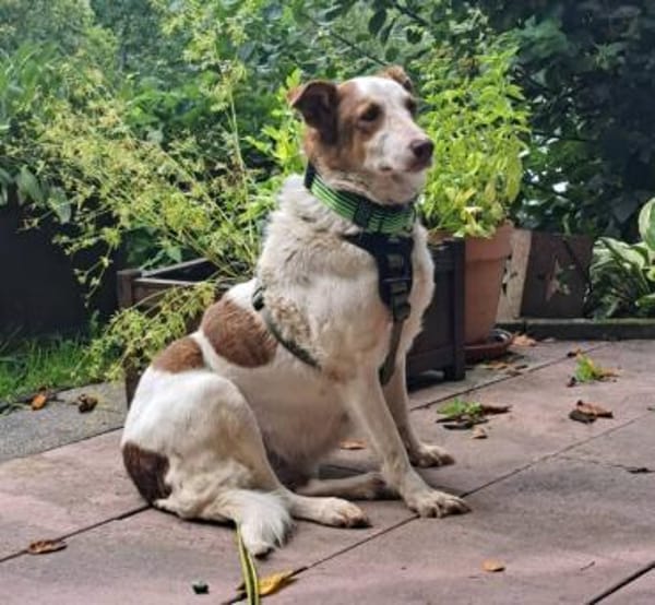 HELEN, lieb und sanft