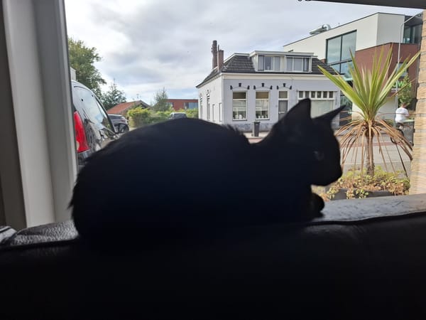 Pippi