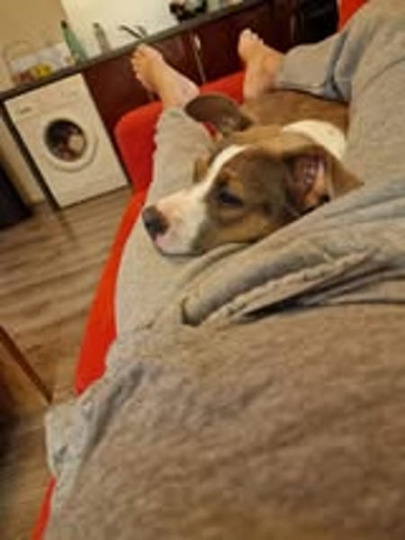 ALYBI