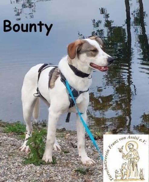 Bounty wird mutig und entdeckt die Welt