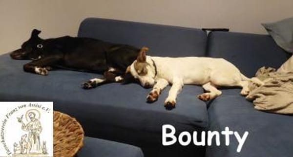 Bounty wird mutig und entdeckt die Welt