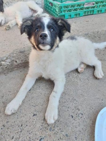 Gonzosucht sein großes Glück 🐾💕🍀