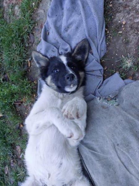 Gonzosucht sein großes Glück 🐾💕🍀