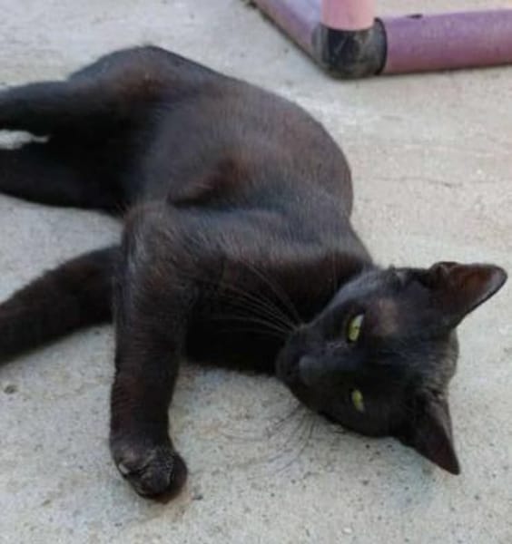 Entzückende KIKi 1,5 Jahre jung❤