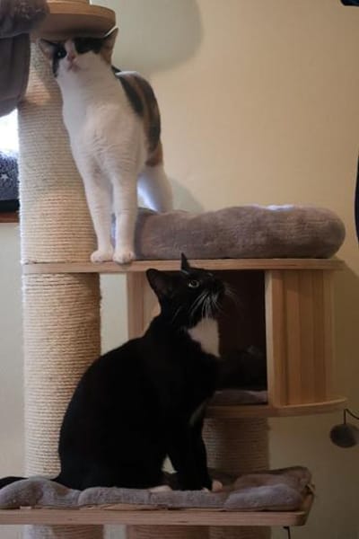 ***LEO und LILLY!***
