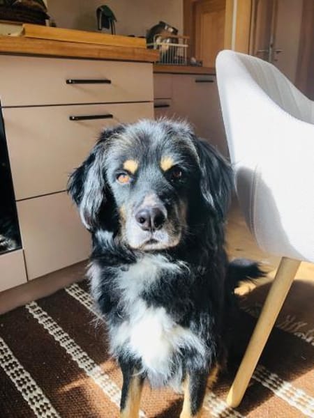 Ari, kleiner Herzensbrecher, sozial