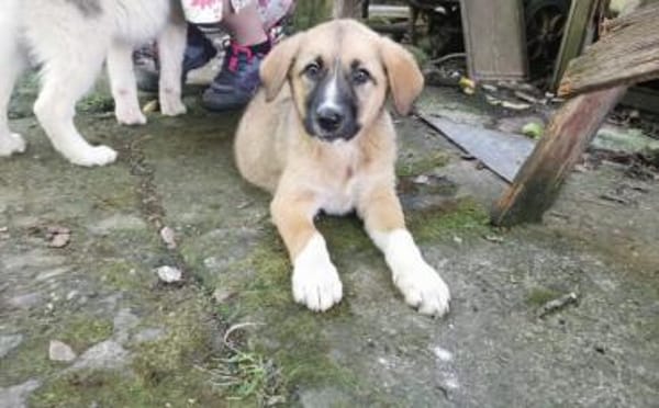Fiona ist bereit für ein Leben mit dir