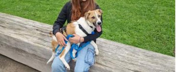 Tajo - kl. Mann mit großem Herzen