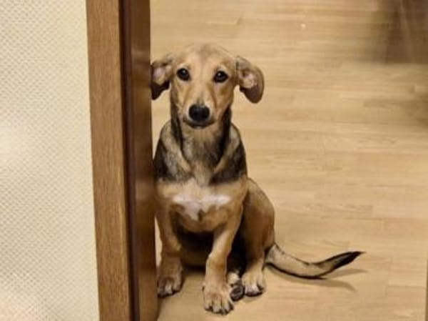 Adriana möchte Rifugio verlassen