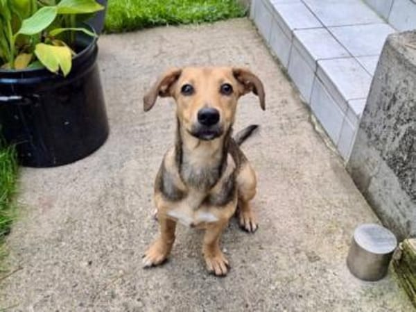 Adriana möchte Rifugio verlassen