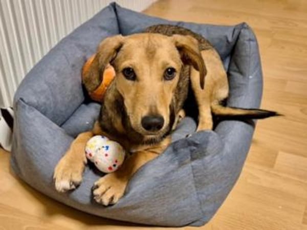 Adriana möchte Rifugio verlassen