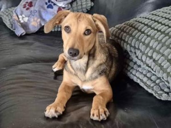 Adriana möchte Rifugio verlassen