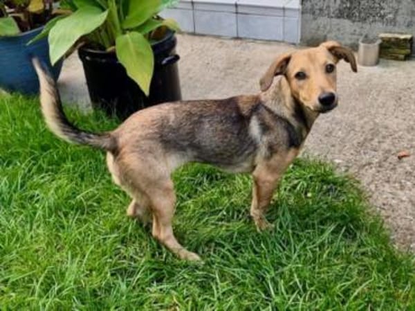 Adriana möchte Rifugio verlassen