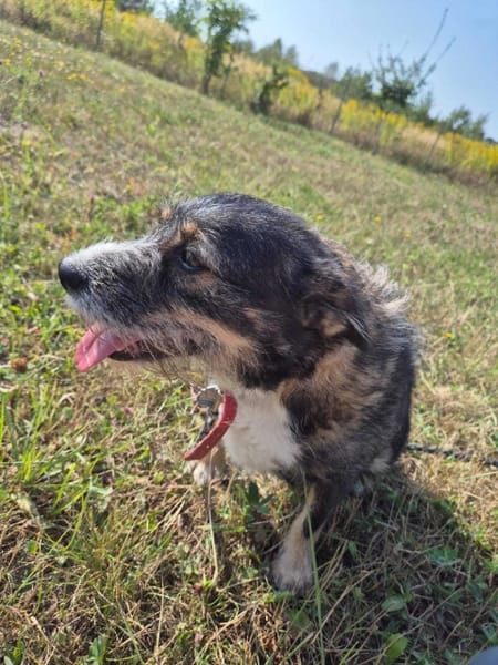 Berta