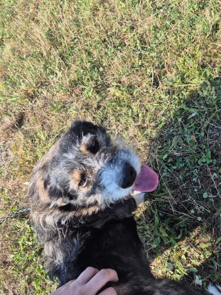 Berta