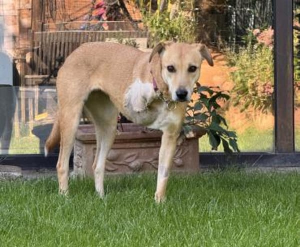Aurelia hat es mehr als verdient!
