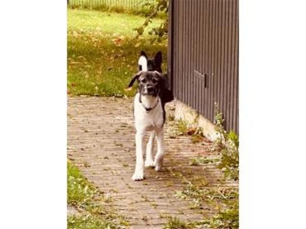 Neli - wartet in 35619 Braunfels