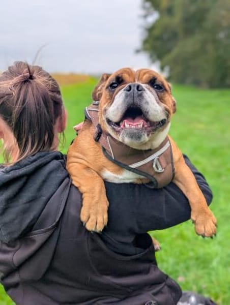 Betty sucht tolles zu Hause