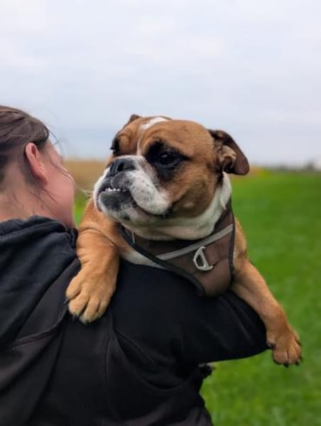 Betty sucht tolles zu Hause