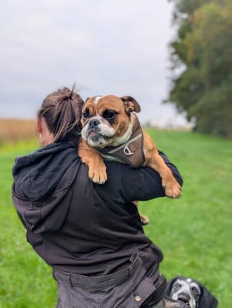 Betty sucht tolles zu Hause