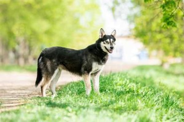 Frohnatur Lina sucht ihre Familie