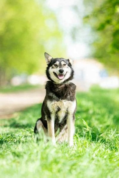 Frohnatur Lina sucht ihre Familie