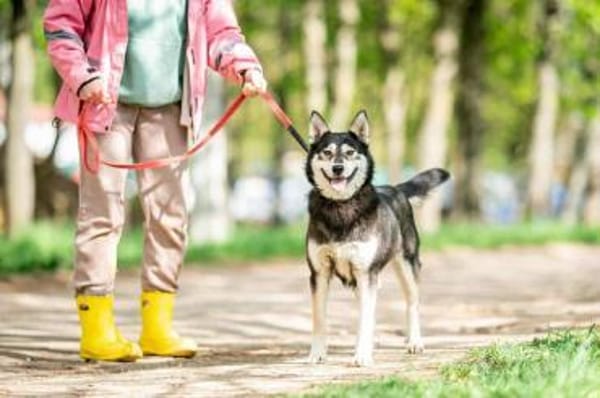 Frohnatur Lina sucht ihre Familie