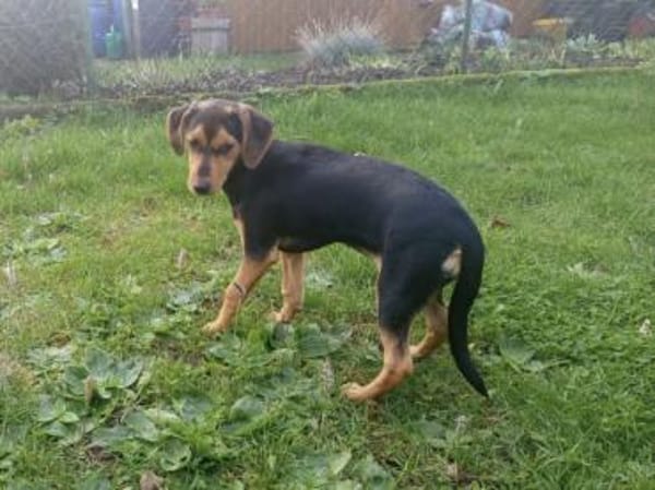 Zoe möchte zu Ihnen gehören