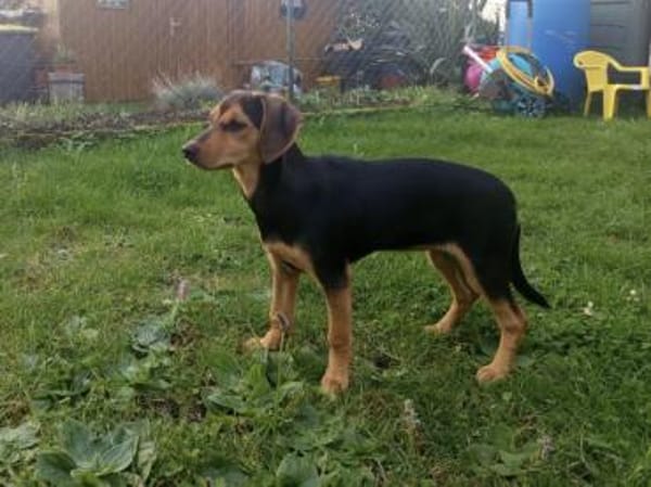 Zoe möchte zu Ihnen gehören