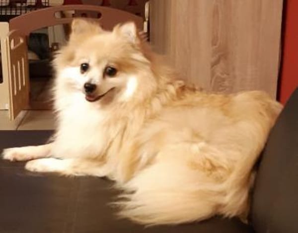 Conny in 27478 Cuxhaven #