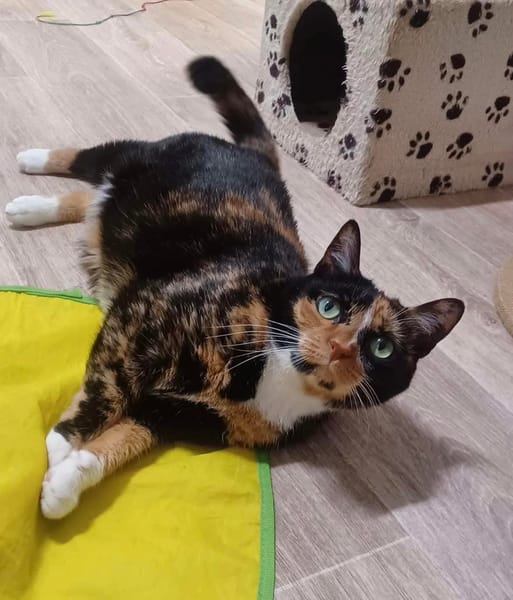 Louna