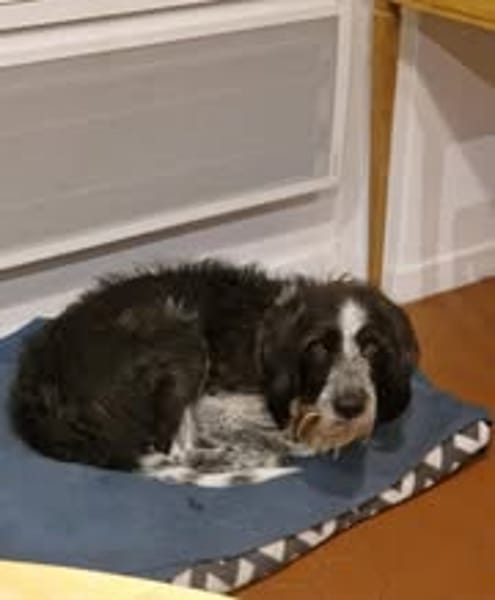 TOTO
