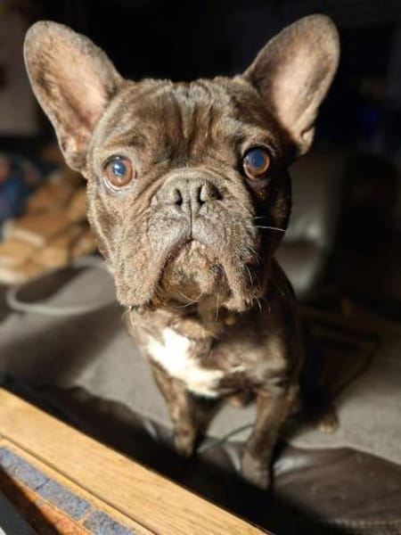 Peter - ist unkompliziert