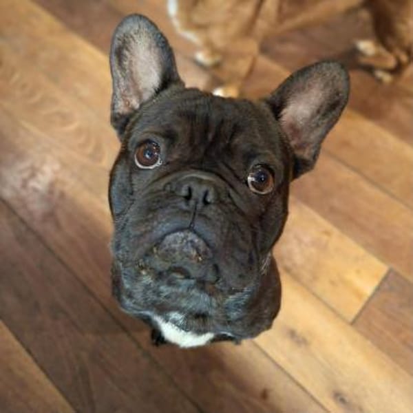 Peter - ist unkompliziert