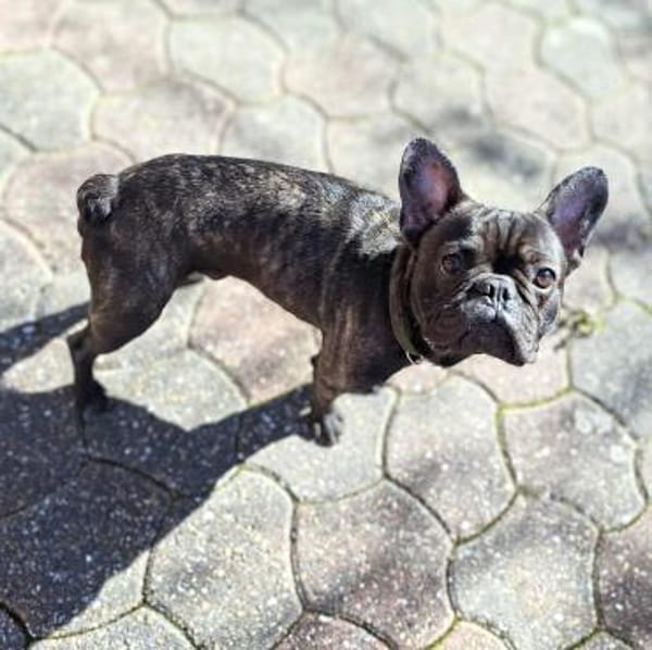 Peter - ist unkompliziert